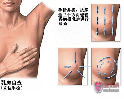 乳腺癌的检查